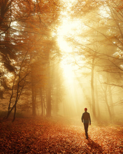 Male hiker walking into the bright gold rays of light in the autumn forest, landscape shot with amazing dramatic lighting mood