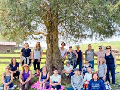 Yoga & Nature Therapy Seasonal Retreats