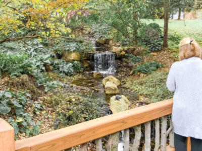 Yoga & Nature Therapy Seasonal Retreats